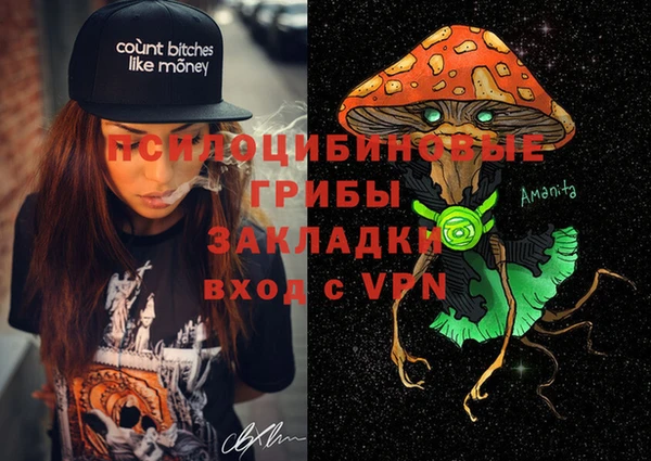 мяу мяу мука Арсеньев
