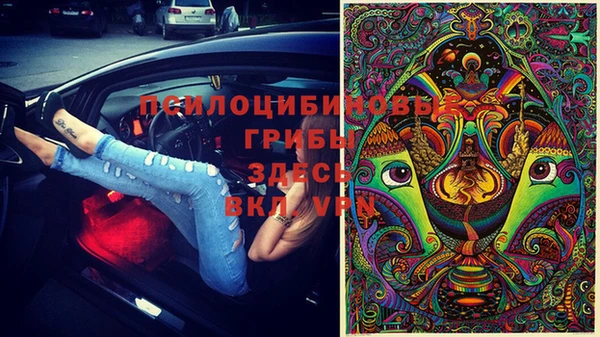 прущая мука Аркадак