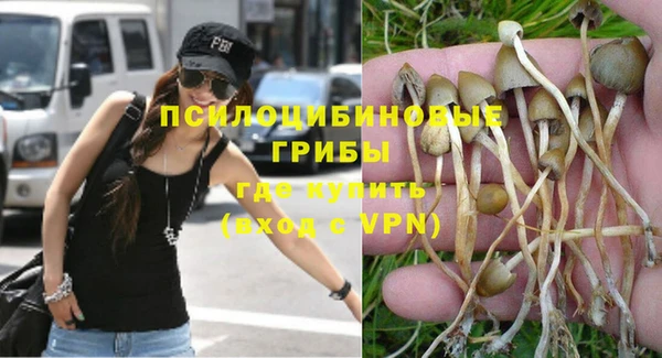 прущая мука Аркадак
