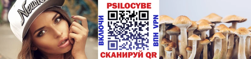 Псилоцибиновые грибы Magic Shrooms  Каргат 