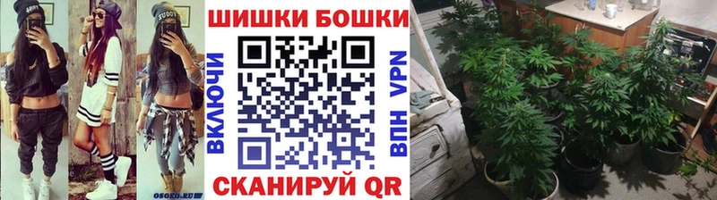 MEGA сайт  Каргат  Конопля план 